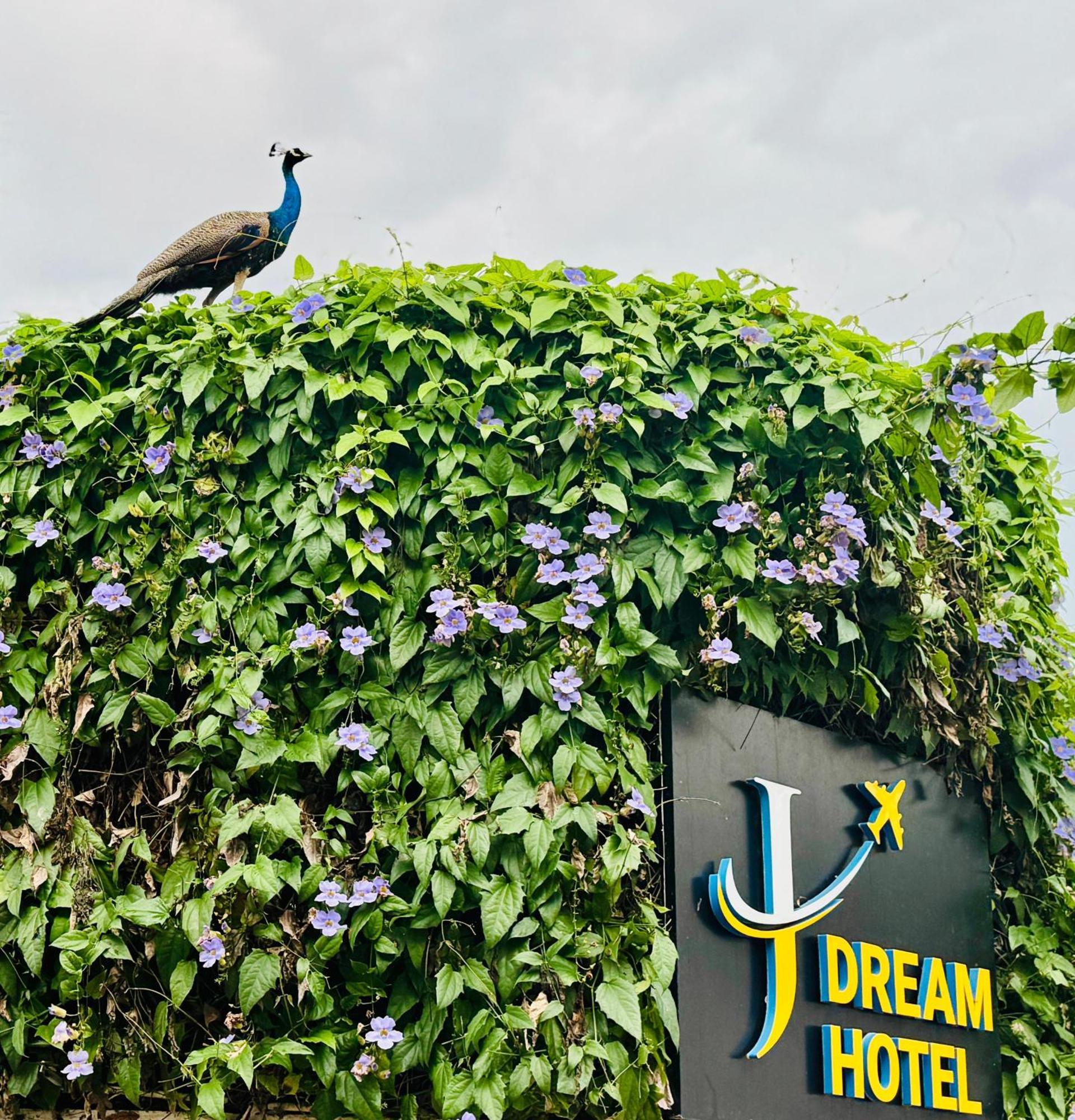 Airport J Dream Resort Dewamottawa Buitenkant foto